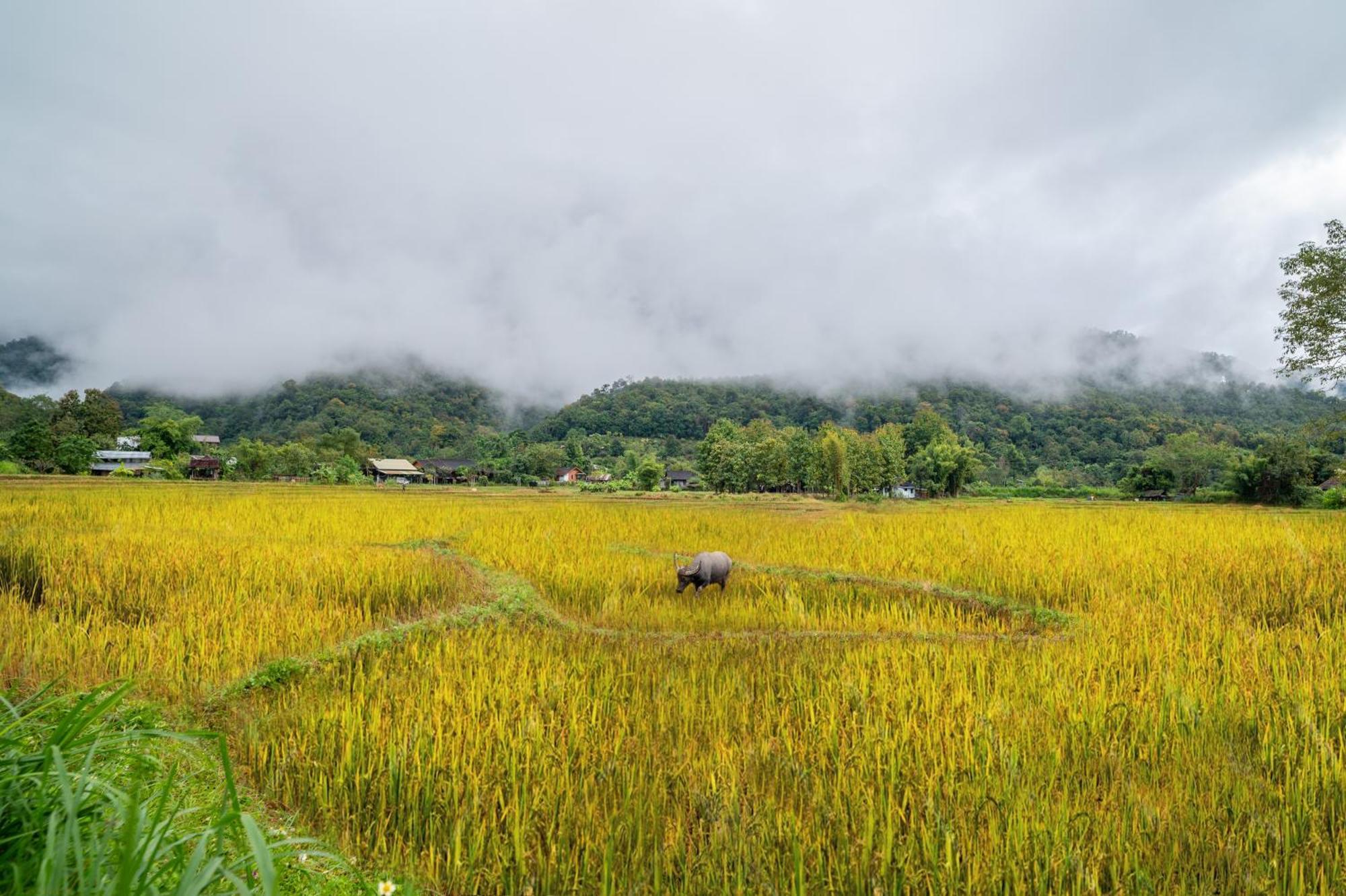 Luxury Farm House Pai Bagian luar foto